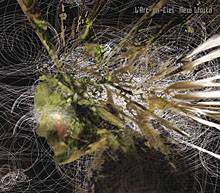 L'Arc En Ciel : New World